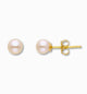 Parel oorstekers 5 mm 14k goud, productfoto voor- en zijaanzicht op witte achtergrond